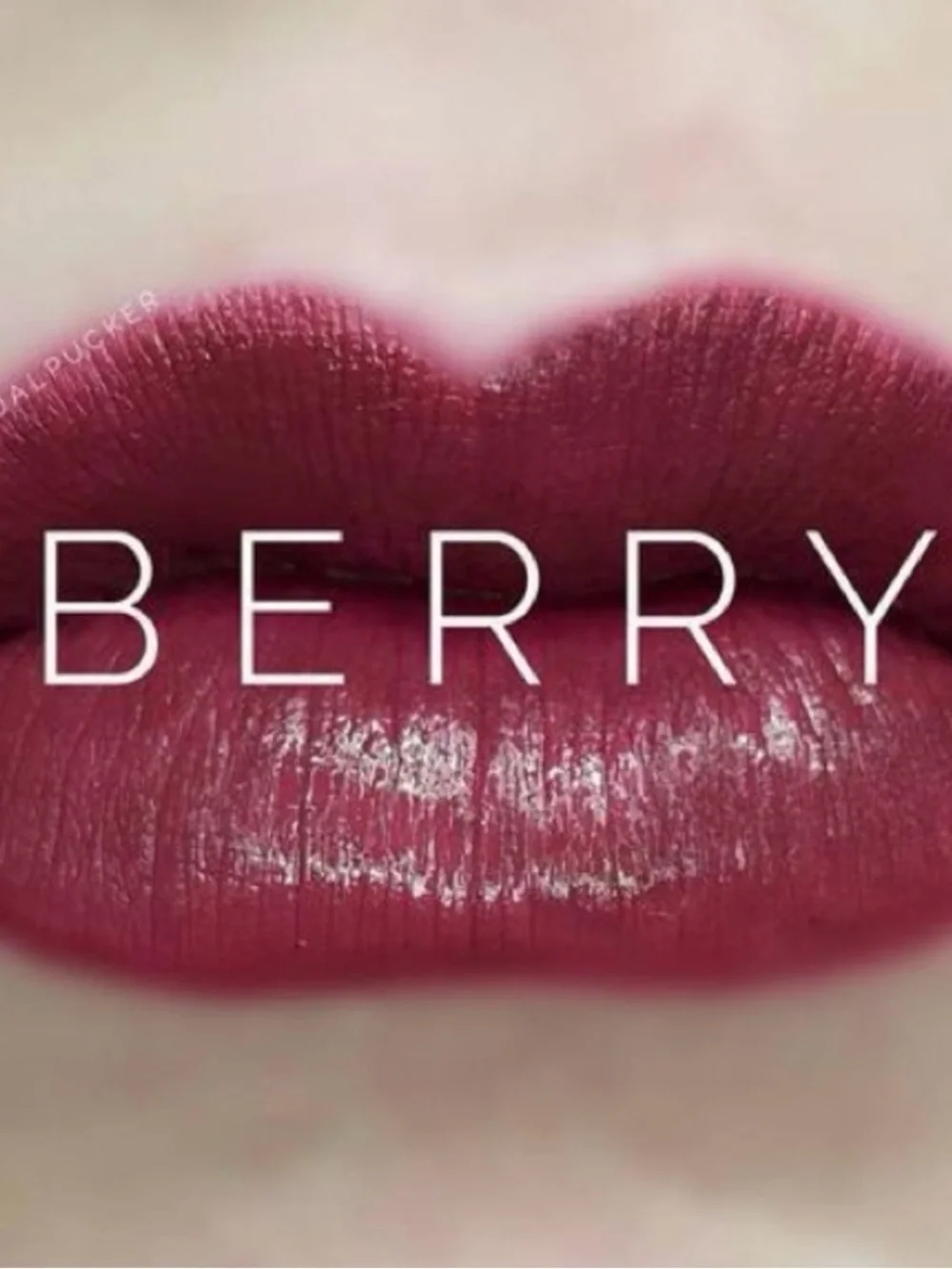 Lipsense Berry Lipstick - Deep Berry Shade